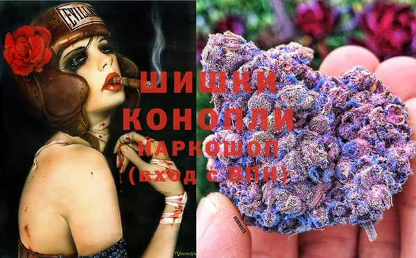 ГАЛЛЮЦИНОГЕННЫЕ ГРИБЫ Балахна