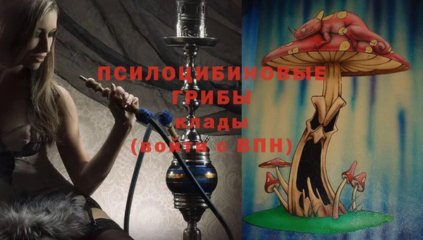 ГАЛЛЮЦИНОГЕННЫЕ ГРИБЫ Балахна